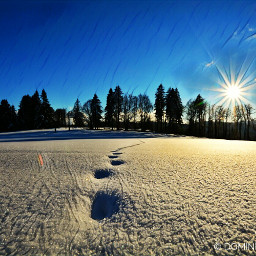 nature naturephotography winter winterwonderland snow